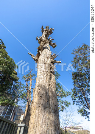 橋水神社 88635244