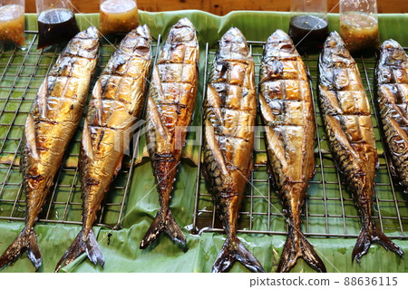 Saba fishes grilled on grate. Saba fishes grilled on grate. 88636115