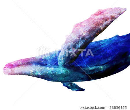 A fantastic whale with a sense of perspective A fantastic whale with a sense of perspective 88636155