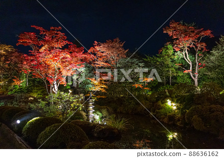 Nikkosan Rinnoji Temple Lighted up Nikkosan Rinnoji Temple Lighted up 88636162