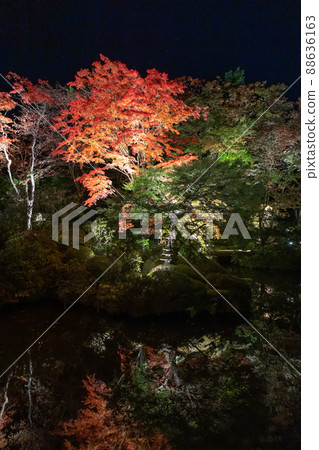 Nikkosan Rinnoji Temple Lighted up Nikkosan Rinnoji Temple Lighted up 88636163