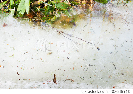 Fallen leaves and branches trapped in thawed ice 88636548