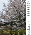 Susuki 88636774