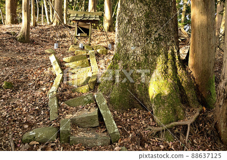 丹澤大山 三重山 小山 三重山縱貫路線 山神社 丹澤大山 三重山 小山 三重山縱貫路線 山神社 88637125