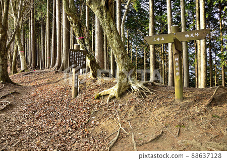 丹澤小山三重山縱貫路線的小山三重山登山道 丹澤小山三重山縱貫路線的小山三重山登山道 88637128