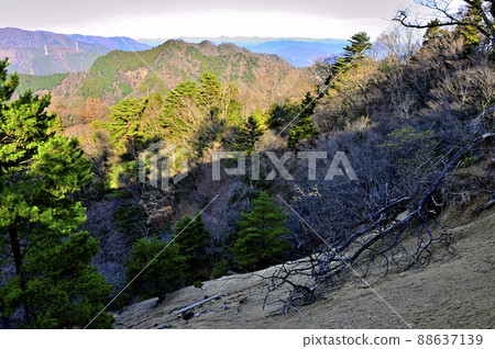 從丹澤三根山眺望鍋嵐 從丹澤三根山眺望鍋嵐 88637139