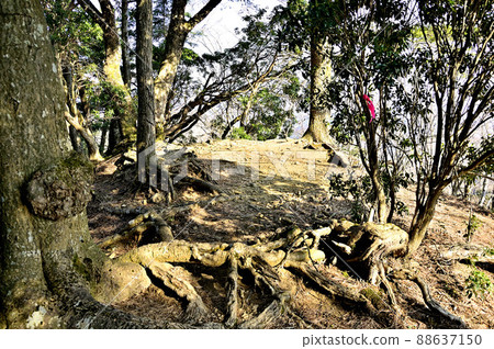 Tanzawa's seven mountain peaks 88637150