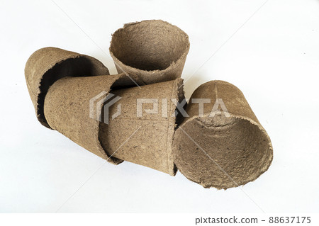 Peat containers for seedings on white background 88637175