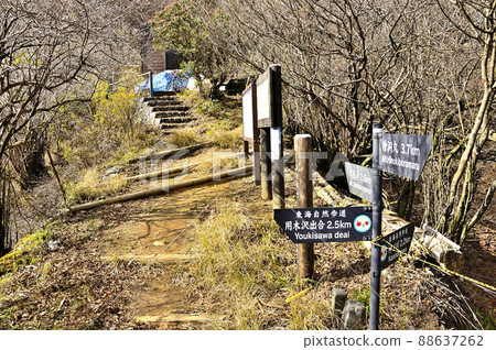 丹澤山脊上的犬江路峠 88637262