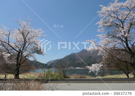 河口湖 河口湖 88637276