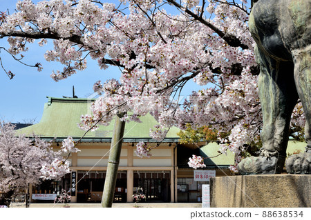 Ikukunitama Shrine [Ikutama-cho, Tennoji-ku, Osaka] 88638534
