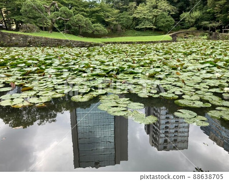 Building, pond and hass Building, pond and hass 88638705