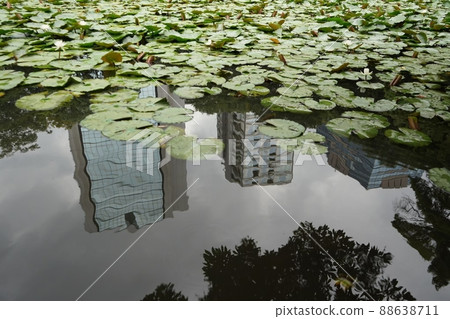 建築、水面和蓮花 建築、水面和蓮花 88638711