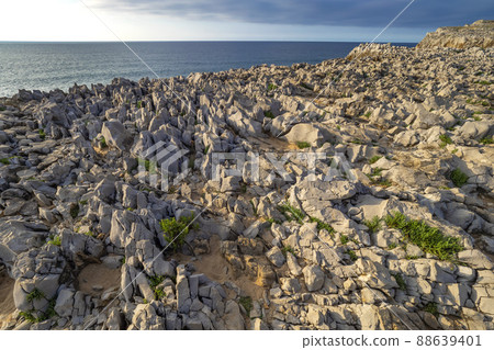 Rocky Coast, Pria Cliffs, Karst Formation, Llanes de Pria, Spain 88639401