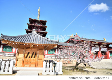 Shitennoji Temple (Five-storied Pagoda) [Tennoji Ward, Osaka City, Osaka Prefecture] 88639567