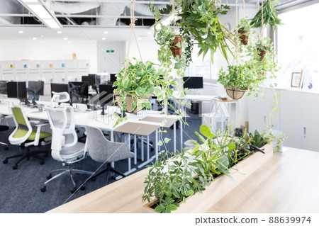 Office with houseplants 88639974