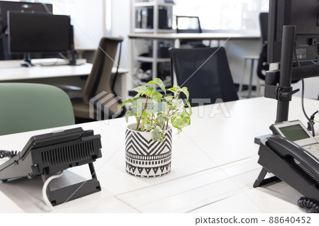 Office with houseplants Office with houseplants 88640452