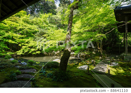 Lotus Temple garden Lotus Temple garden 88641110