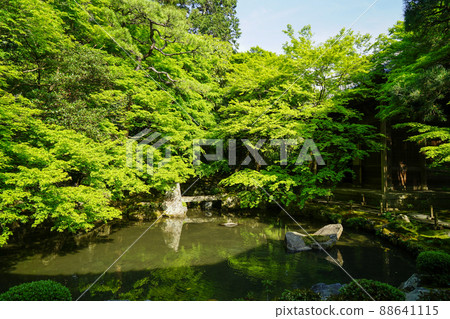 Lotus Temple garden 88641115