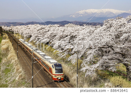 Shiraishi River and Ichigo Senbonzakura 88641641
