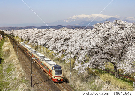 Shiraishi河和Ichigo Senbonzakura 88641642