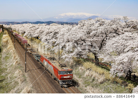 Shiraishi River and Ichigo Senbonzakura Shiraishi River and Ichigo Senbonzakura 88641649