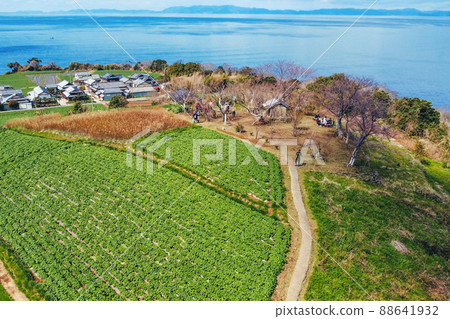 九州偶來南島原路線 九州偶來南島原路線 88641932
