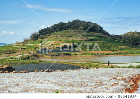 九州偶來南島原路線 88641934