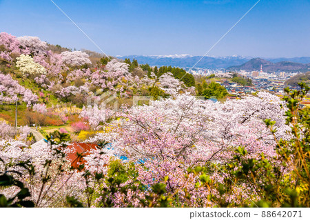Cherry blossom mountain village and snowy mountain 88642071