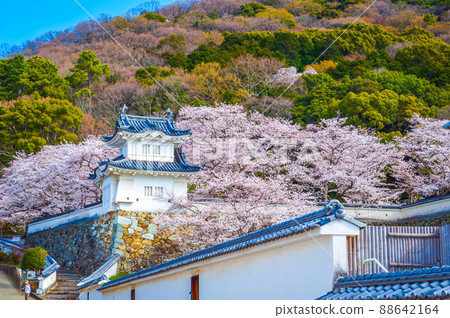 龍野城櫻花 龍野城櫻花 88642164