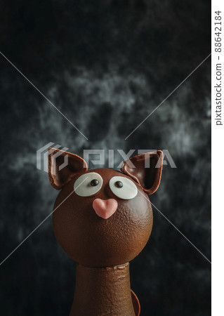 chocolate cat on a black mottled background 88642184