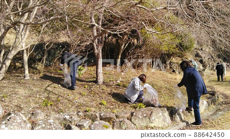 Multiple people are picking up trash at neighborhood association events, park cleaning, and winter parks with trees with plastic bags for trash. Multiple people are picking up trash at neighborhood association events, park cleaning, and winter parks with trees with plastic bags for trash. 88642450