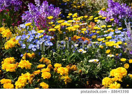 Spring flowerbed in a colorful red brick warehouse 88643398