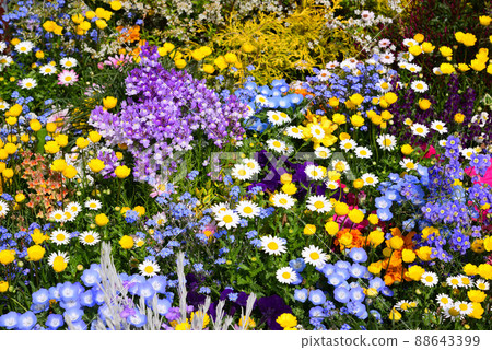 Spring flowerbed in a colorful red brick warehouse 88643399