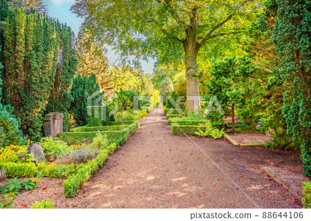 Road through Garrison military Cemetery in Copenhagen, Denmark Road through Garrison military Cemetery in Copenhagen, Denmark 88644106