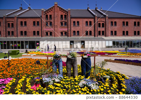 Yokohama Red Brick Warehouse with beautiful spring flower beds Yokohama Red Brick Warehouse with beautiful spring flower beds 88644330