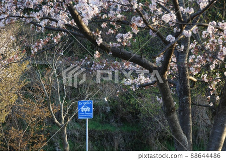 Electric vehicle fast charging spot sign 88644486