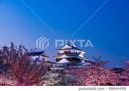 (愛媛縣)夜晚盛開的松山城燈火通明 (愛媛縣)夜晚盛開的松山城燈火通明 88644489