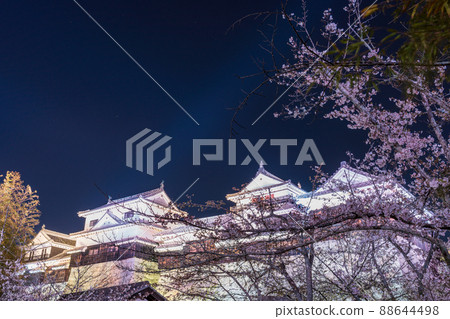 (Ehime Prefecture) Matsuyama Castle in full bloom at night is lit up (Ehime Prefecture) Matsuyama Castle in full bloom at night is lit up 88644498
