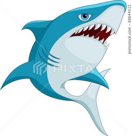 Cartoon shark isolated on white background 88644515