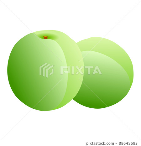 2 green plum fruits on a white background 88645682