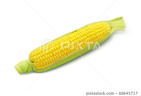 玉米插圖真正單 玉米插圖真正單 88645717