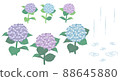 繡球花和雨的材料插圖 88645880