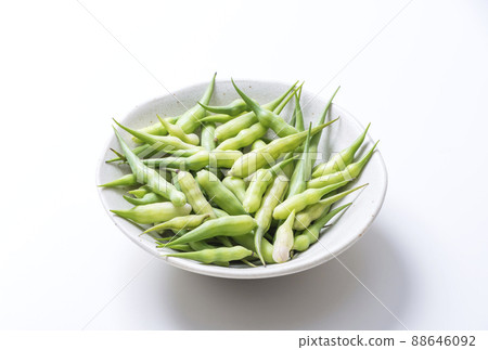 沙耶蘿蔔青黃蔬菜健康蔬菜京都時令蔬菜健康食材 88646092