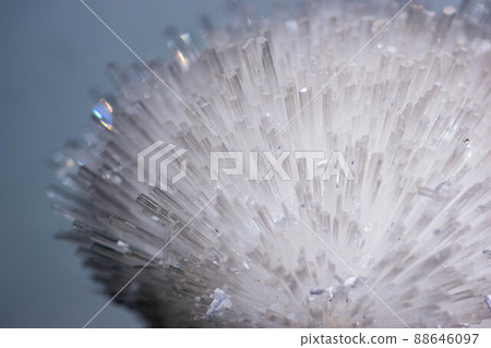 Scores Zeolites Scores Zeolites 88646097