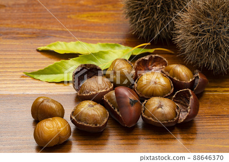 Sweet chestnut with shell Sweet chestnut with shell 88646370