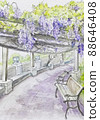 Wisteria flower 88646408