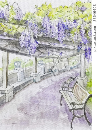 Wisteria flower 88646408