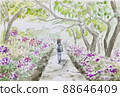 girl garden walk 88646409