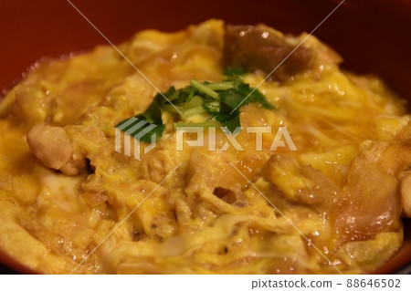 名古屋交趾親子丼 愛知縣 88646502